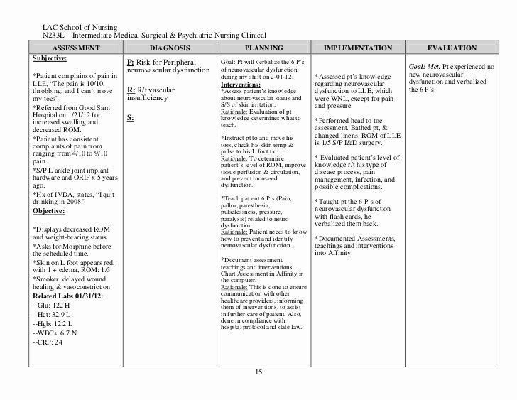 Nursing Care Plan Template Pin On Example Plans Template