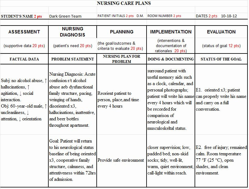 Nursing Education Plan Template Pin On Example Plans Template