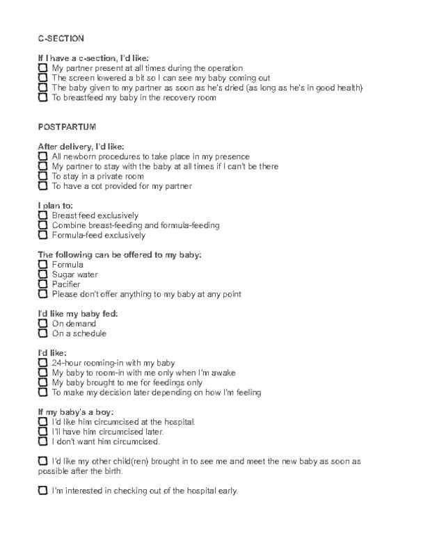 One Page Birth Plan Template Birth Plan Template