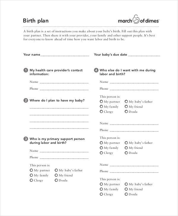 One Page Birth Plan Template E Page Birth Plan Template Inspirational Birth Plan