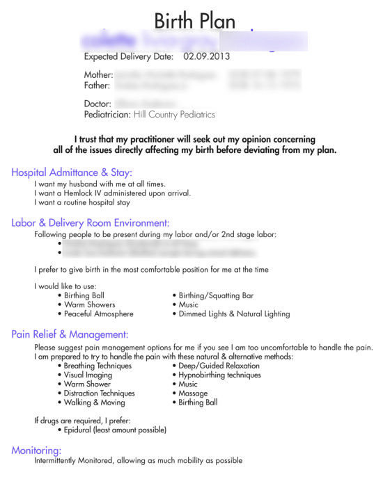 One Page Birth Plan Template Our Birth Plan