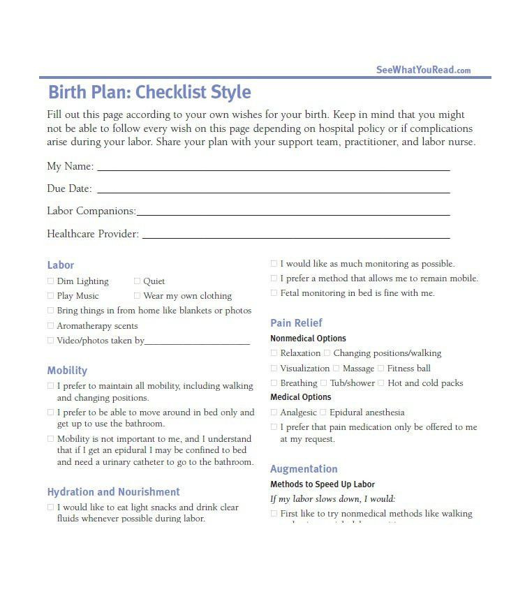 One Page Birth Plan Template Pin On Action Plan Template Printable Design