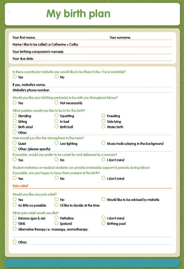One Page Birth Plan Template Pin On Birth Plan