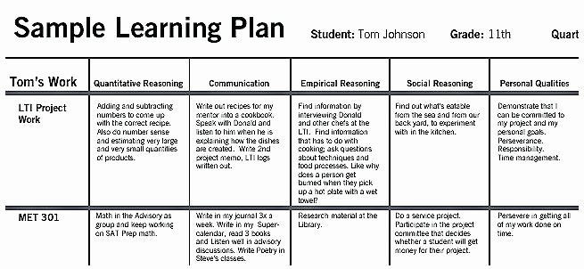Personal Learning Plan Template Individual Learning Plan Template Elegant Individual