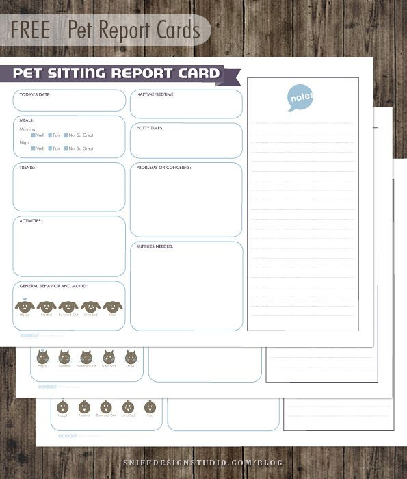 Pet Sitting Business Plan Template Free Pet Report Card Design for Pet Sitters