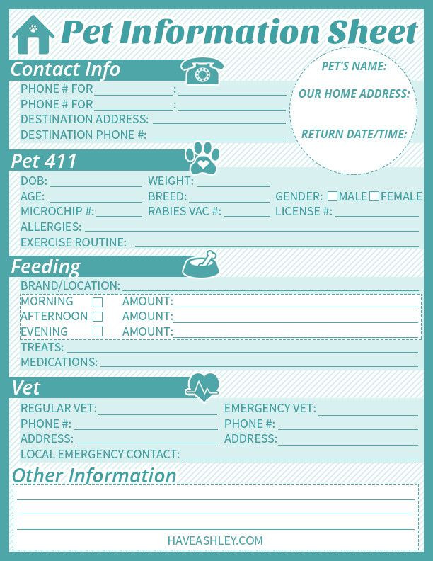 Pet Sitting Business Plan Template Pet Sitting Business Plan Template Lovely Free Printable Pet