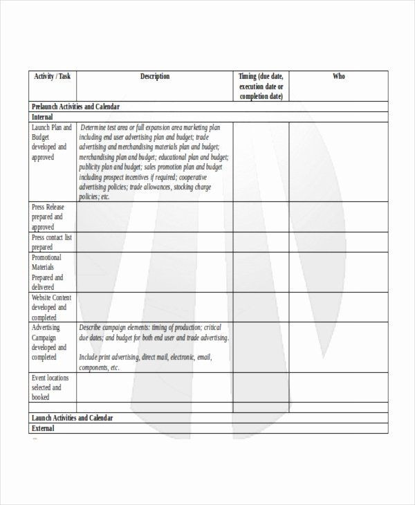 20 Product Launch Communication Plan Template Simple Template Design