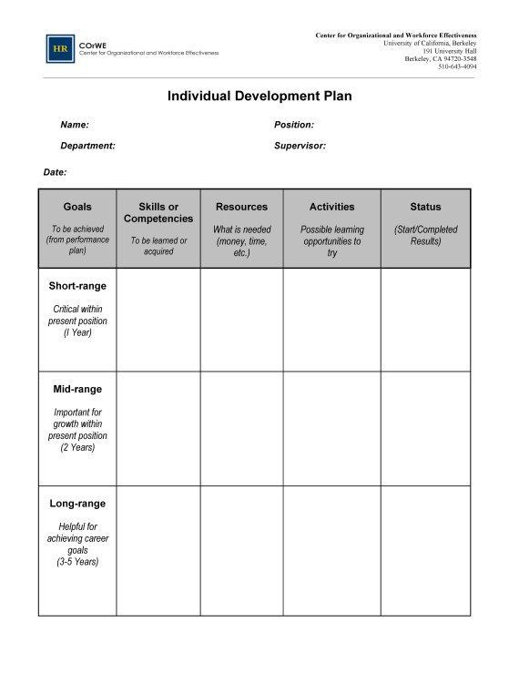 Professional Development Plan Template Word Individual Development Plan
