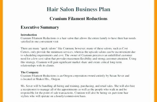 Salon Business Plan Template Free Hair Salon Business Plans Awesome Business Plan for Beauty