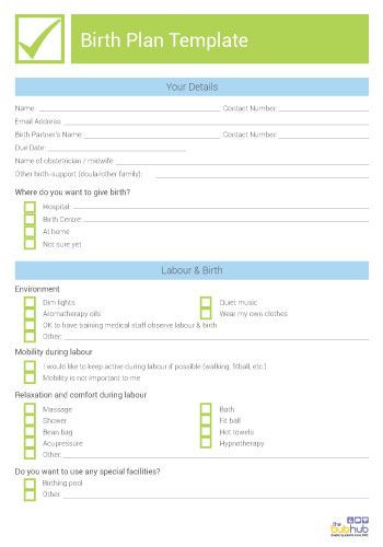 Sample Birth Plan Template How to Write A Birth Plan