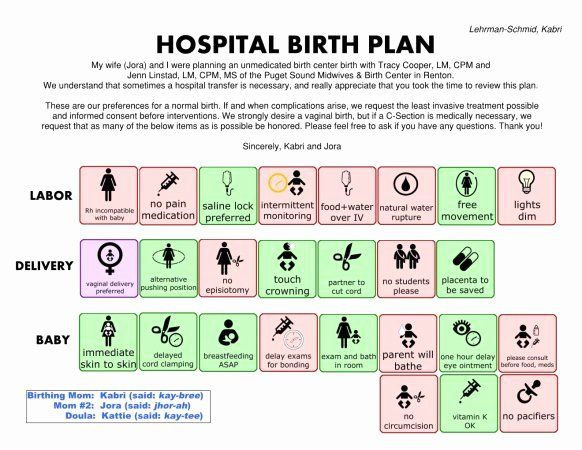 Visual Birth Plan Template Visual Birth Plan Template Beautiful Could I Your thoughts
